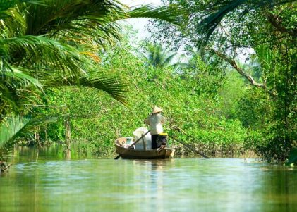 mekong-delta